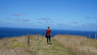 Cape Bridgewater