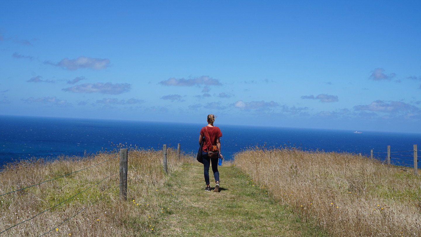 Cape Bridgewater