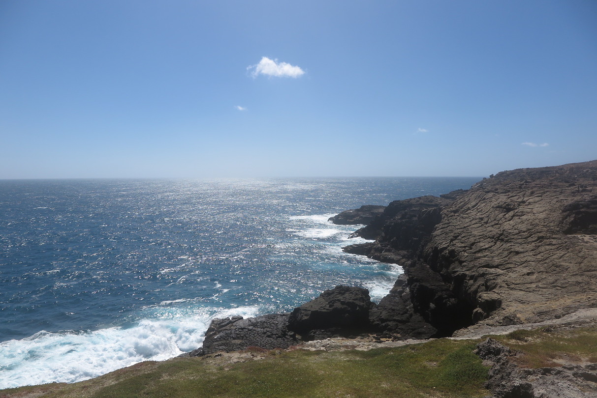 Cape Bridgewater