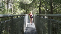 Treetop wandeling