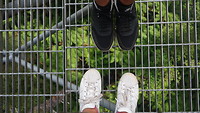 Treetop wandeling