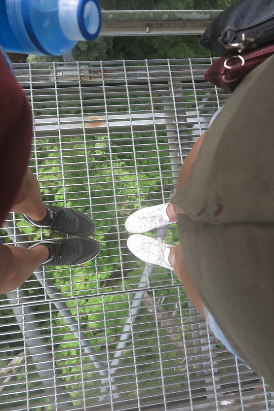 Treetop wandeling