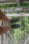 Treetop wandeling