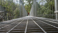 Treetop wandeling