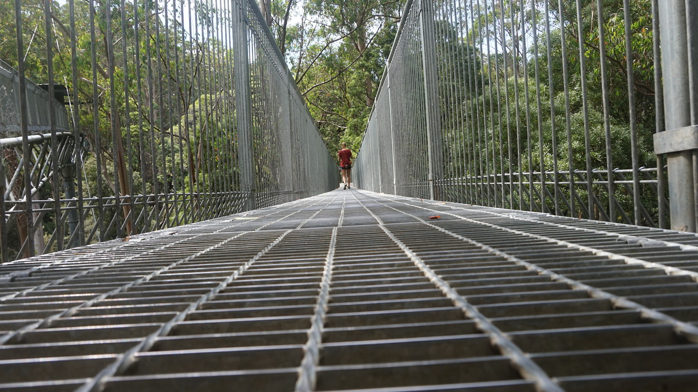 Treetop wandeling