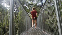 Treetop wandeling