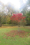 Herfst!