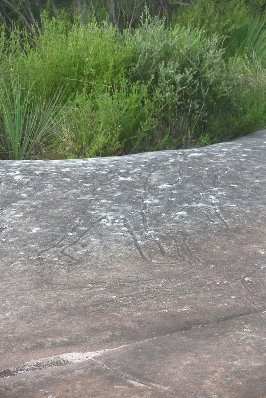 Aboriginal tekeningen