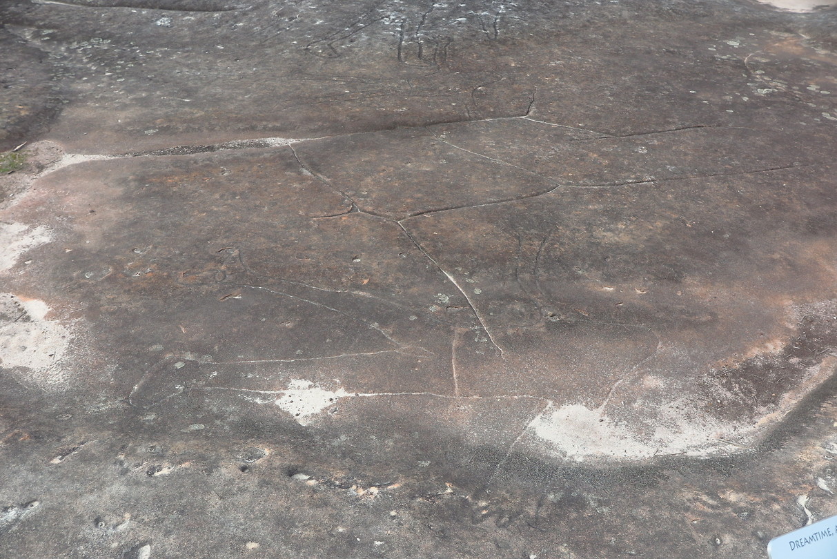 Aboriginal tekeningen