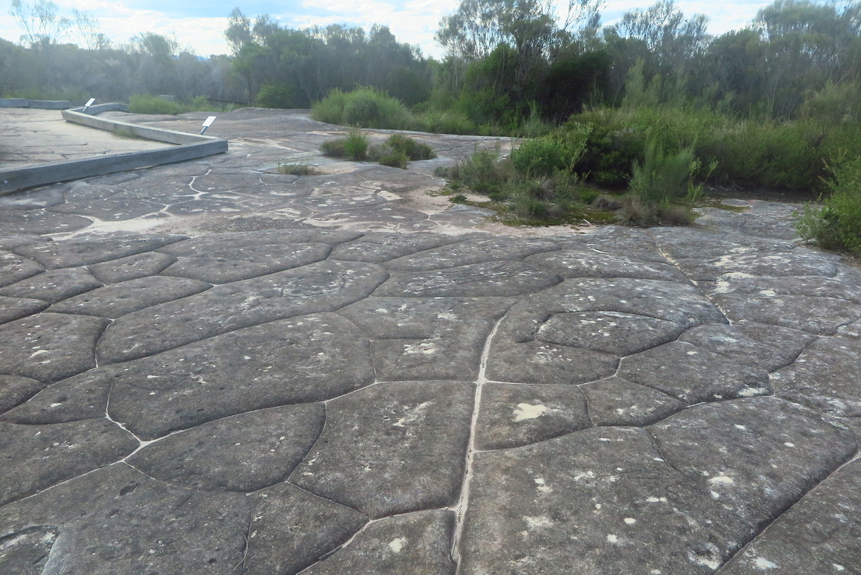 Aboriginal tekeningen