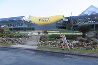 The big banana