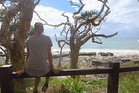 Coastal walk