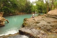 Cardwell Spa Pools