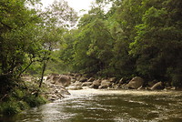 Mossman Gorge