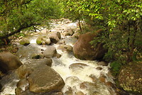 De rivier