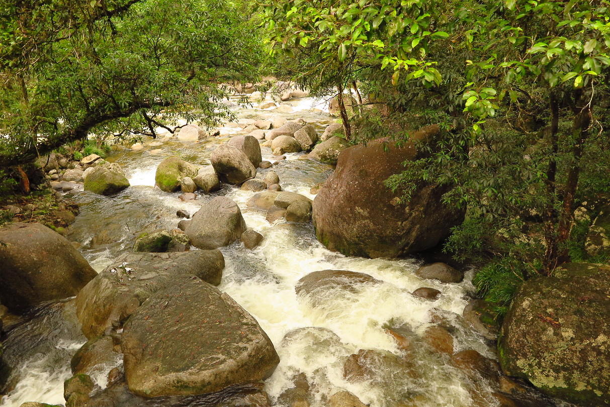 De rivier