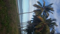 Saunders Beach