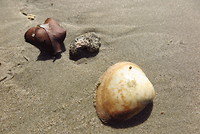 Op het strand