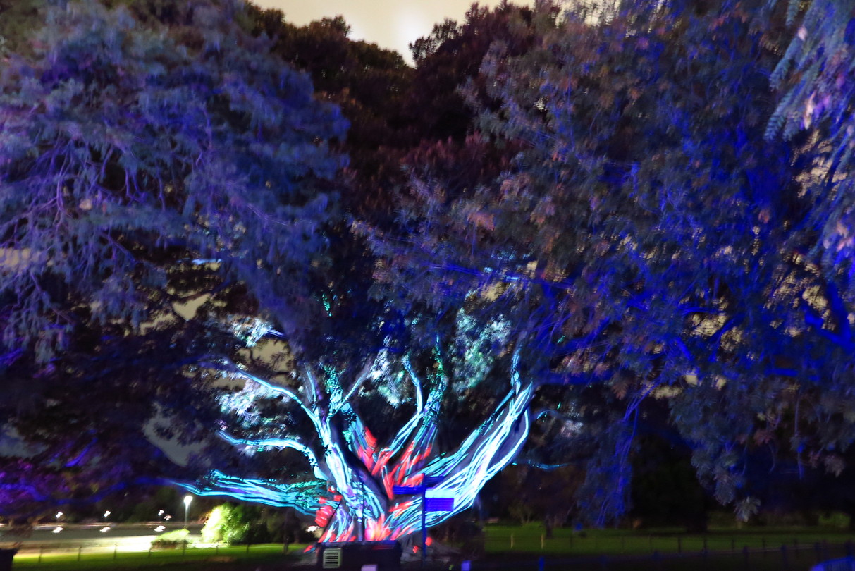 Vivid Sydney