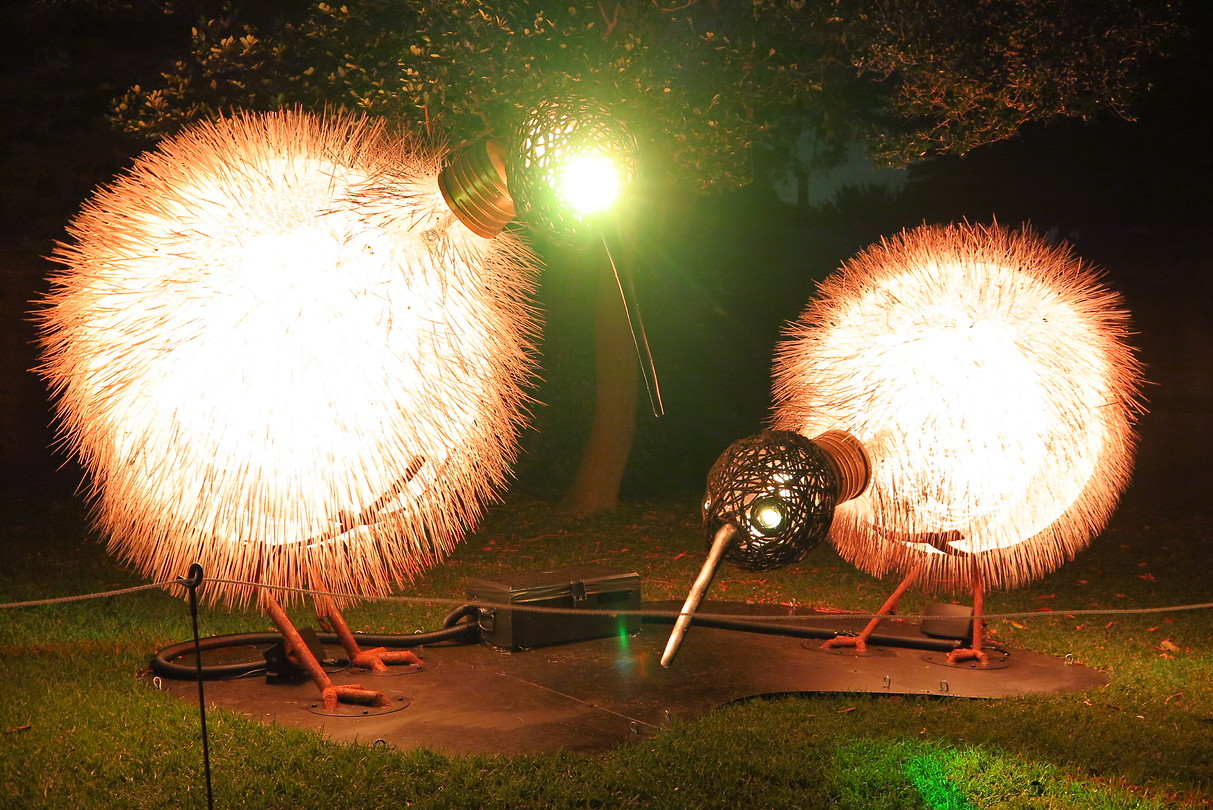 Vivid Sydney