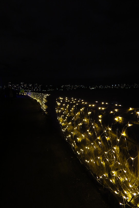 Vivid Sydney