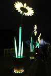 Vivid Sydney