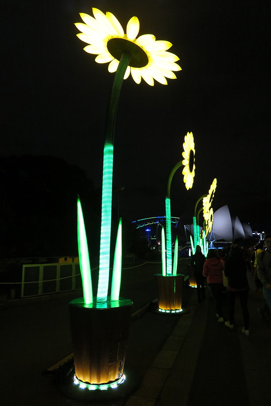 Vivid Sydney