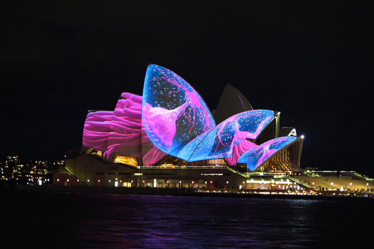 Vivid Sydney