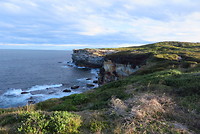 Cape Solander