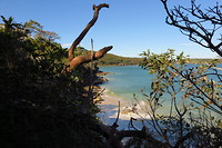 Spit to Manly Walk