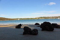 Spit to Manly Walk