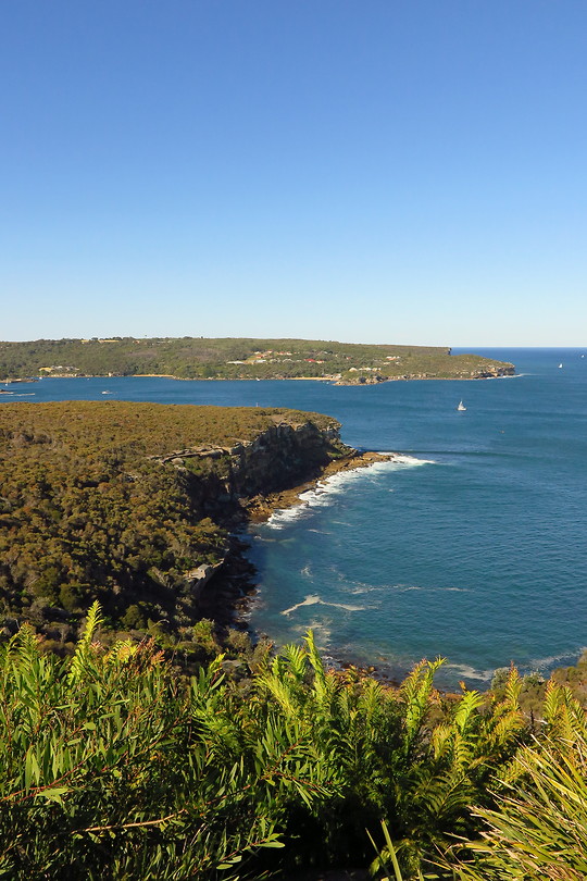Spit to Manly Walk
