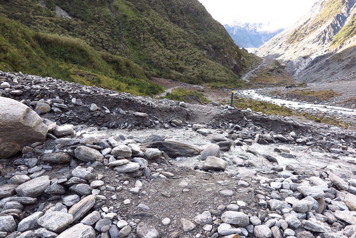 Wandeling naar de Fox Glacier