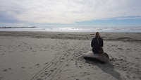 At the beach