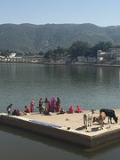 Pushkar