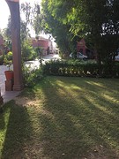 Tuin van hotel