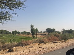 IMG_1723