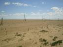 Woesternij in Mongolie