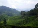 Cameron Highlands top of the bill view