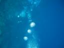 Bubbels van duikers