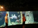 Aqaurium kuala lumpur