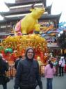 Year of the Ox!