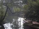 Veel mooie tuinen in China