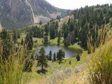 Yellowstone