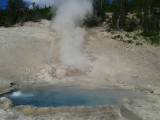 Mammoth Hot Springs