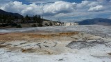 Norris Geyser Basin