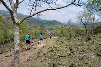 IMG_0799