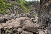IMG_0811