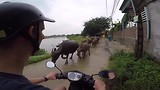 Vietnam van Noord naar Zuid