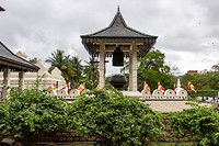 IMG_9053